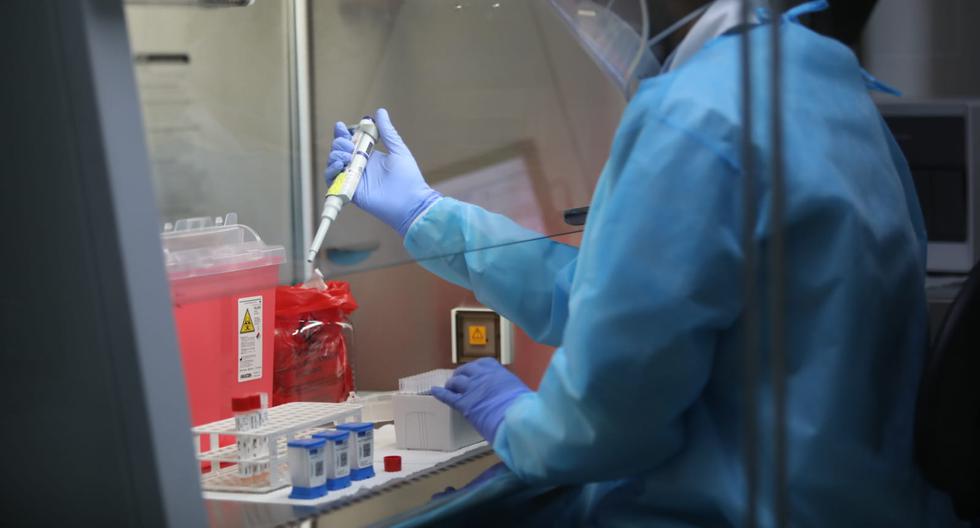 Una nueva empresa hará ensayos clínicos en Perú (GEC)