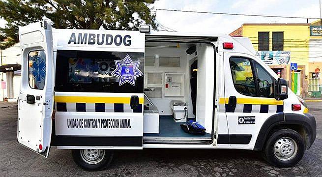 ​Empezó a funcionar el 'Ambudog', la primera ambulancia para perritos callejeros