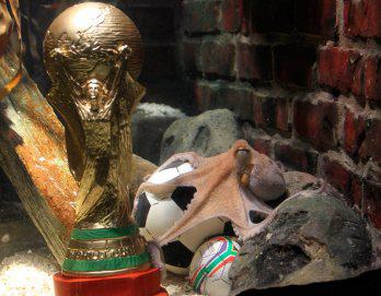 Realizarán monumento a Pulpo Paul