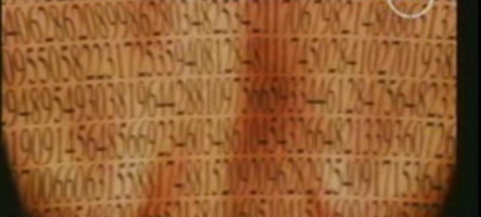 (VIDEO): Aprendiendo matemáticas con Kayla Collins