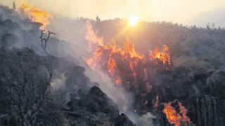 Incendio forestal de tres días arrasa varias hectáreas de pastos