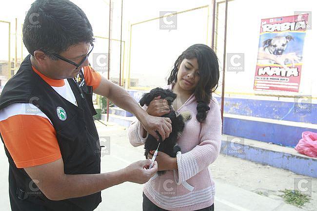 ​Rabia canina: Cronograma de vacunación en Mariano Melgar