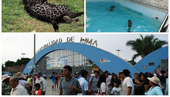 Parque de Las Leyendas: Denuncian que concierto en zoológico afectaría a animales