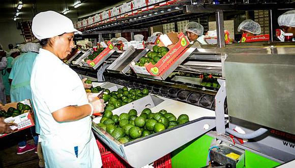 Lima concentró el mayor número de exportadoras, seguida por Piura y Callao. (Foto: ADEX)