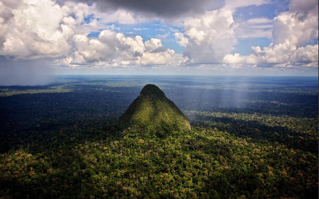 Ollanta Humala promulgará hoy ley que crea el parque nacional Sierra del Divisor