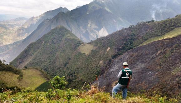 Estas prácticas irresponsables dejaron, el año 2016, más de cuatro mil hectáreas de bosques naturales, pastizales, plantaciones de pino y otras especies forestales, quemadas en las provincias de Huancabamba y Ayabaca.