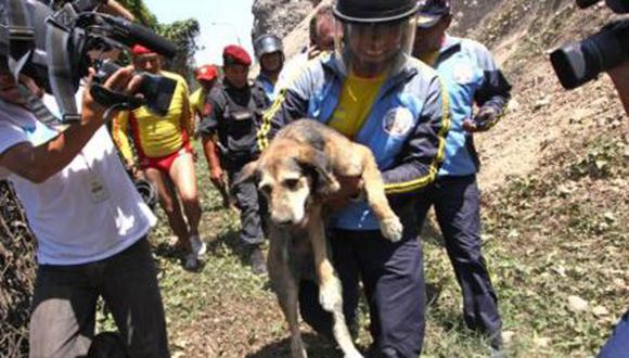 Perrito rescatado no podrá integrar Policía Canina por no ser de "raza"