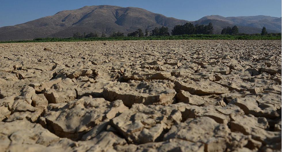 Bolivia vive una de las peores sequías de su historia | MUNDO | CORREO