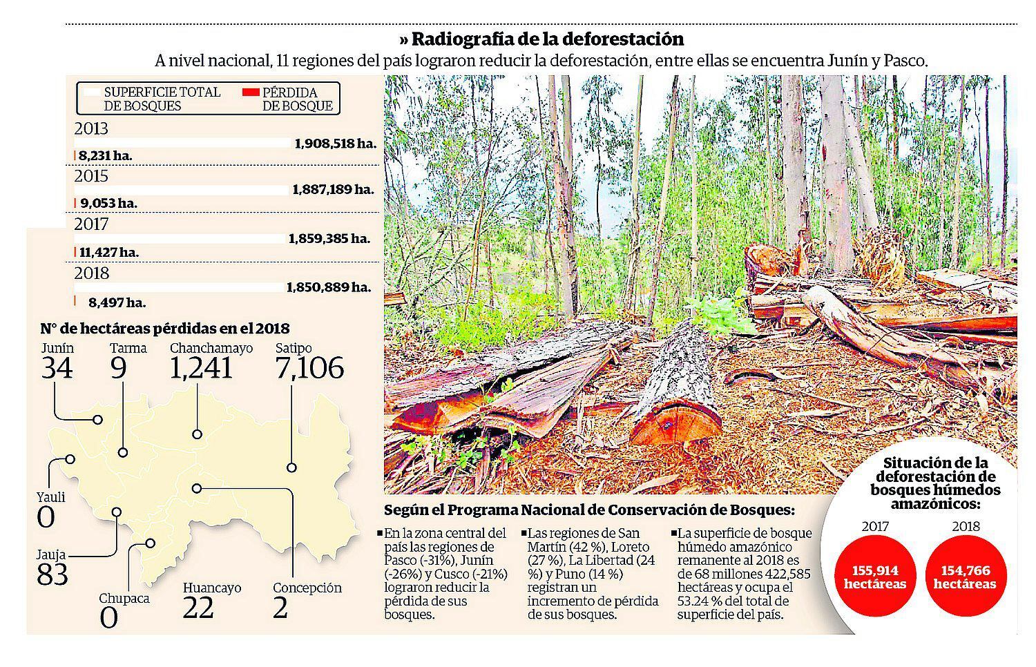 Entre el 2001 - 2018  se perdió más de 151 mil hectáreas de bosques en Junín