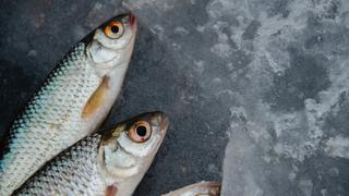 Consejos para descongelar el pescado: 3 formas correctas de hacerlo