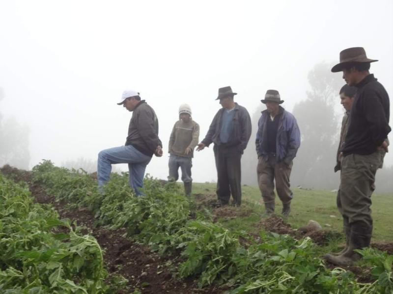 Evaluarán daños en 18 centros poblados de Acoria