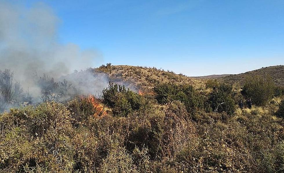 Incendio forestal entre Moquegua y Arequipa es incontrolable (VIDEO)