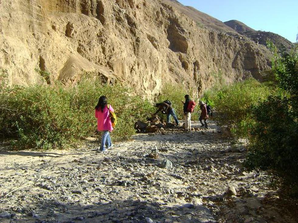 Habilitarán trocha del Santuario de Pallagua