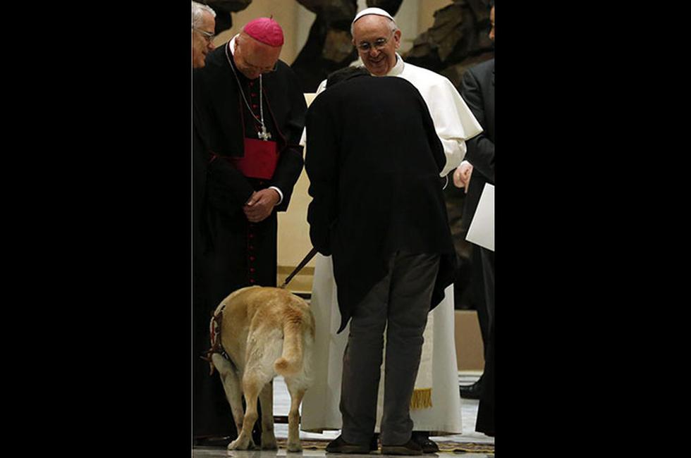 Papa Francisco bendijo al perro guía de un periodista invidente (FOTOS)