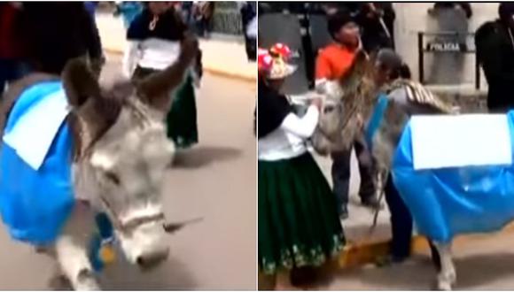 Puno: pobladores piden que un burro tome la alcaldía (VIDEO)