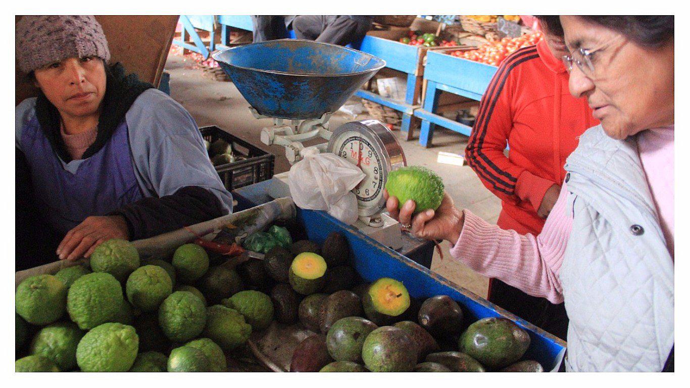 Diversas especies de limón invaden mercado para atacar crisis del cítrico