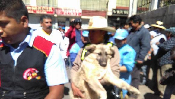 Facebook: Policía de tránsito salva a perrito que fue atropellado (VIDEO)
