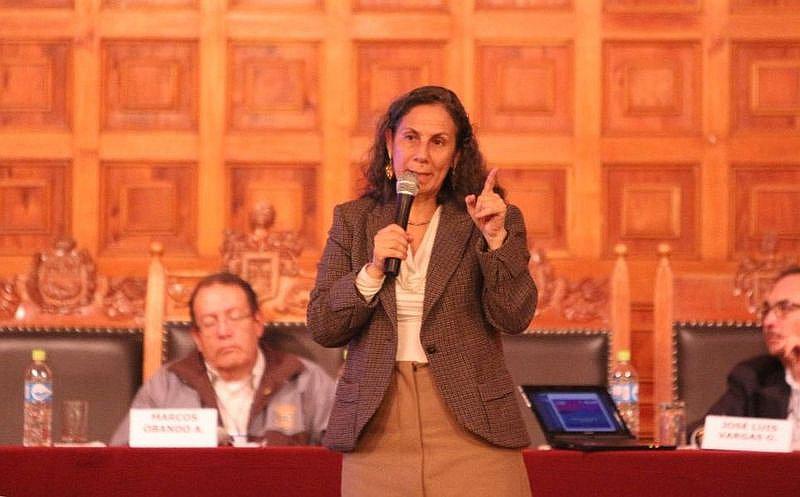 Patricia Salas, exministra de Educación: "No nos vemos como un país único"