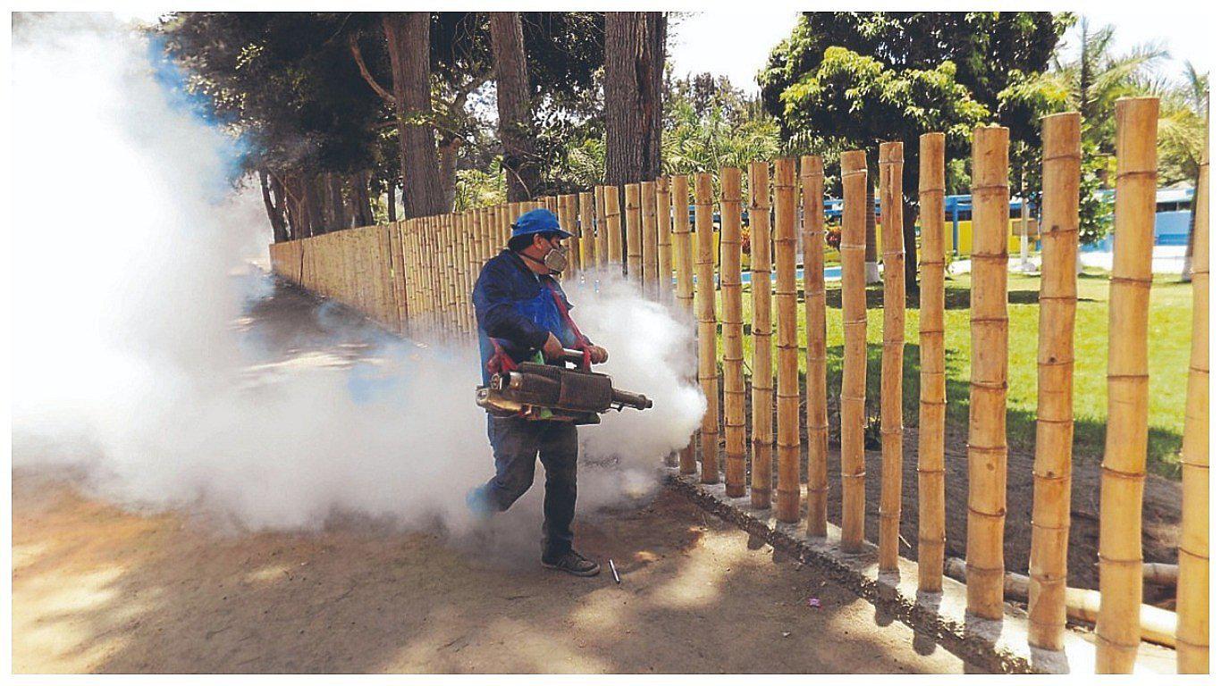 Coishco: Fumigación inicia el 1 de marzo