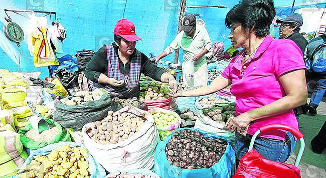 Papa: Tubérculo se siembra en las 8 provincias de Arequipa