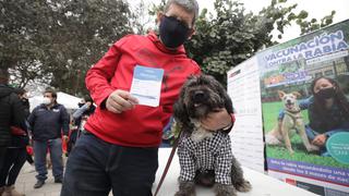 Mascotas recibieron vacuna contra la rabia con disfraces y en pijama en parque La Alborada en Surco (FOTOS)