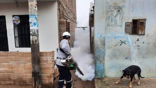 Mueren 19 personas a causa del dengue en la provincia de Chincha 