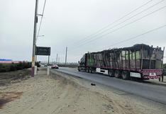 Paro de transporte de carga pesada no se siente en Chimbote