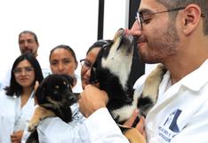 Inauguran en México el primer hotel para perros y gatos abandonados
