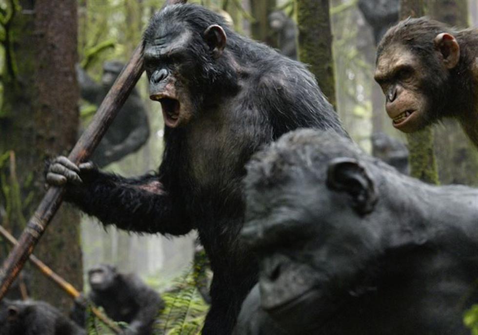 "El Planeta de los Simios: Confrontación": Mira las nuevas fotos de la película