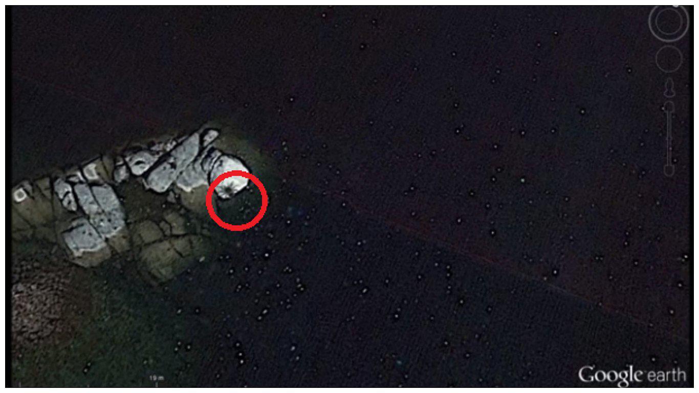 YouTube: Google captó supuesta "araña gigante" en rocas de mar (VIDEO)