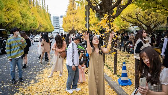 A una mujer le toman fotografías mientras arroja hojas caídas en colores otoñales en Tokio el 13 de noviembre de 2022. (Foto de Yuichi YAMAZAKI / AFP)
