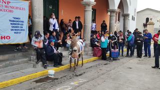 Trabajadores pasean en burro imagen del alcalde de Huamanga y sus funcionarios