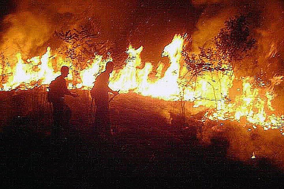 Brasil: Las imágenes más impactantes del devastador incendio en la Amazonía