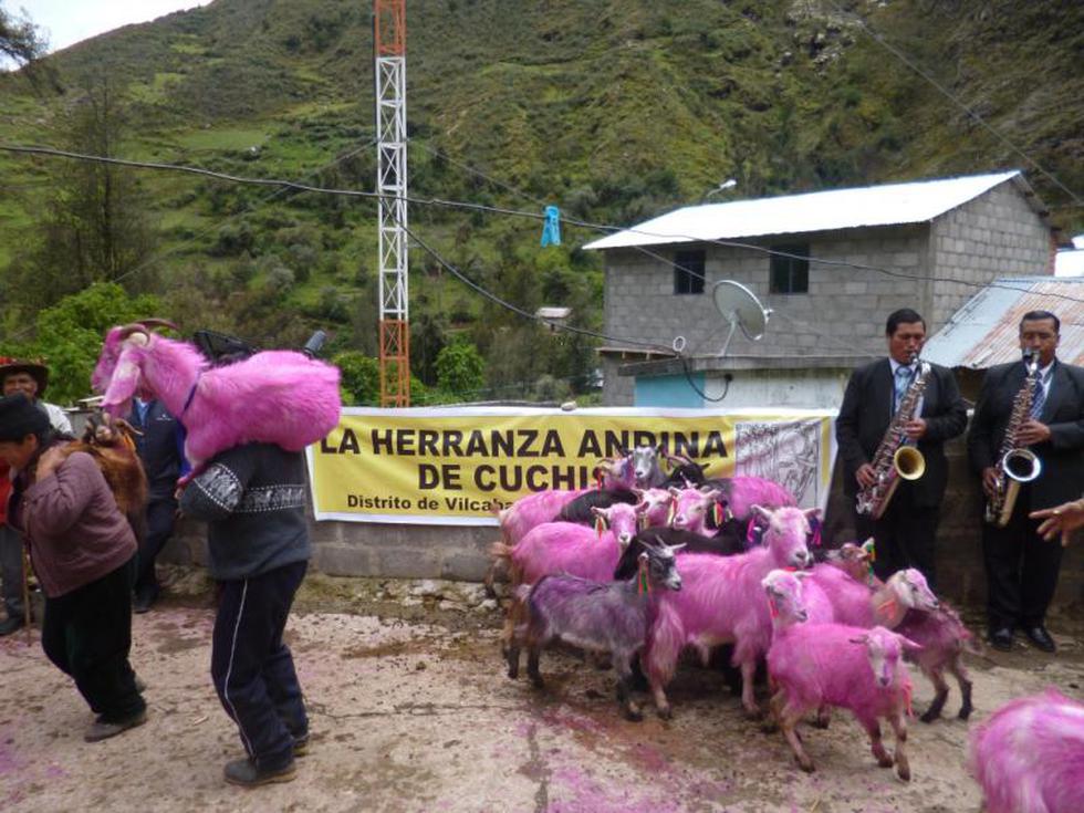 Pasco: Comunidades celebran Herranza Andina 