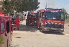 Pisco: Incendio consume forestación en un poblado de San Miguel