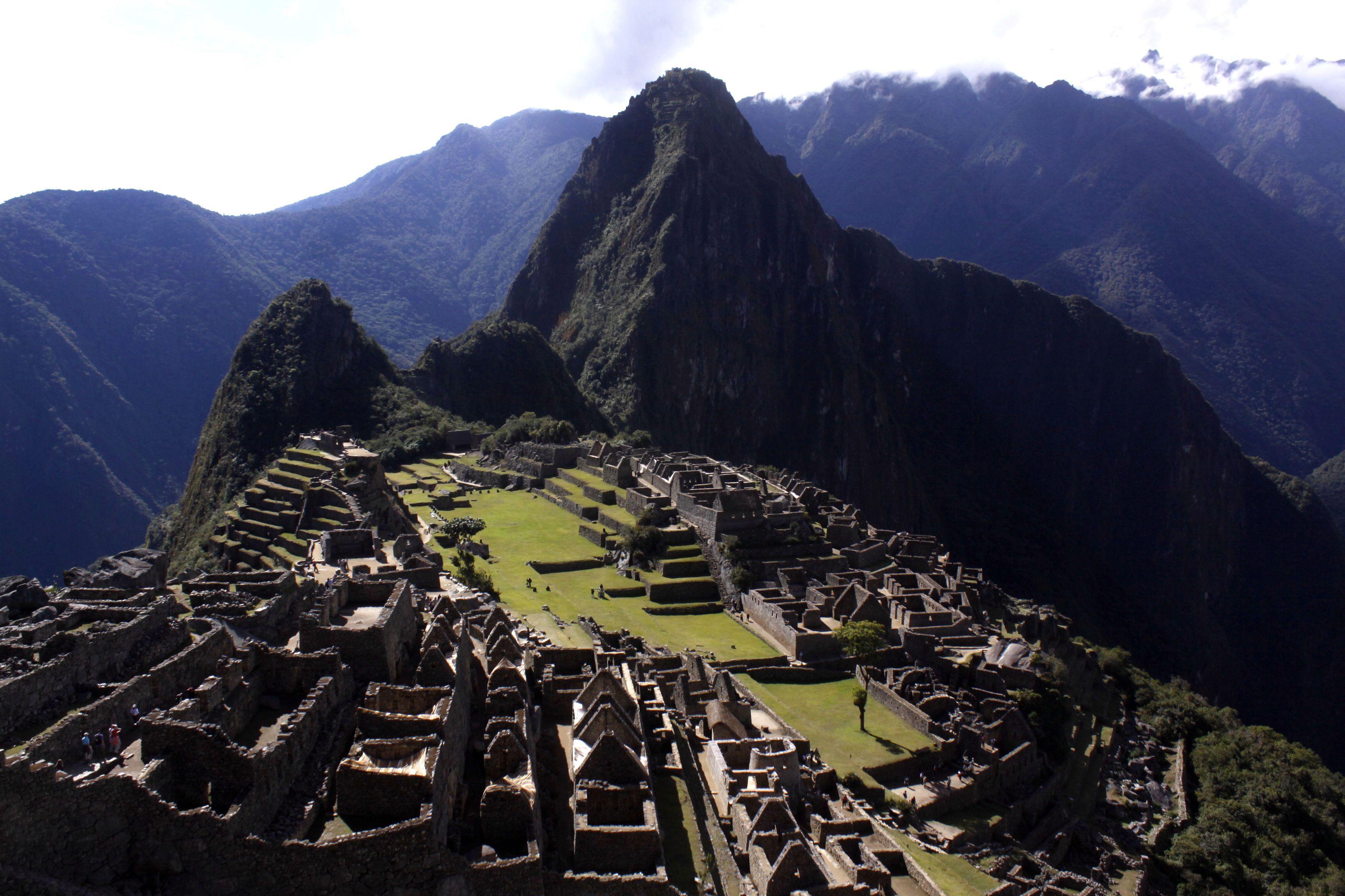 Al descubierto nuevas especies de orquídea y lagarto en Machupicchu