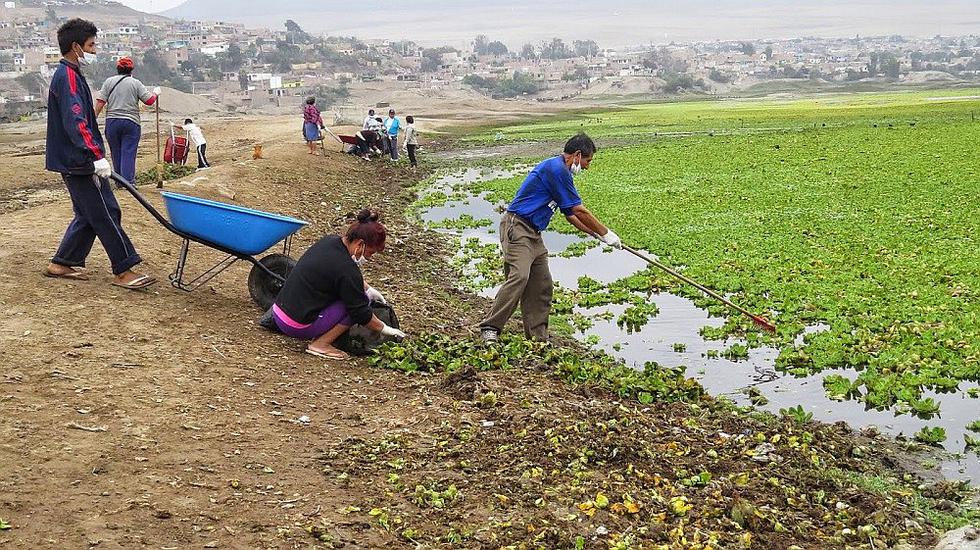 Turismo: conoce los humedales Santa Rosa en Chancay, a una hora de Lima (FOTOS)