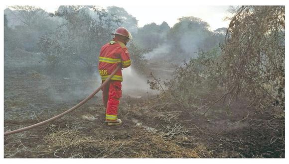 Nuevo incendio forestal se registra en Patapón
