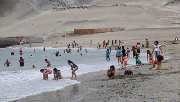 Mascotas están prohibidas en playas y piscinas públicas