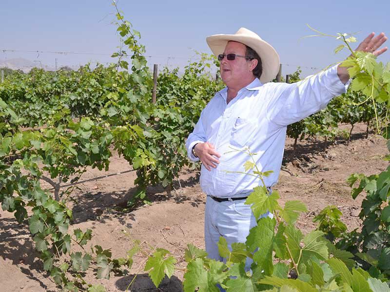 ​Picasso propone reducir el ISC al vino