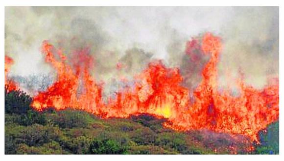 ​Cuidado: quema de restos agrícolas generan tragedias forestales