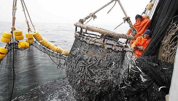 Chimbote: Suspenden la pesca industrial de anchoveta 