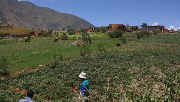 Los pobladores y las principales autoridades del centro poblado de Marabamba, en Huánuco, sostienen que existe un intento de traficar con terrenos en su localidad./Foto: Correo