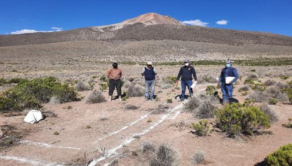 Tacna: Agro Rural inicia en simultáneo la construcción de cobertizos en tres provincias de Tacna para proteger más de 6 mil 500 cabezas de ganado. (Foto: Agro Rural)