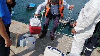 Pescadores alertan derrame de crudo en Cabo Blanco, en Piura