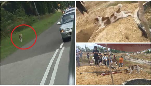 Facebook: perrito persigue coche fúnebre para darle el último adiós a su dueña (VIDEO)
