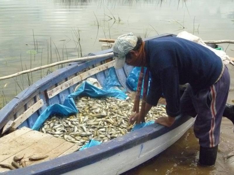 Piden peritaje para el lago Titicaca