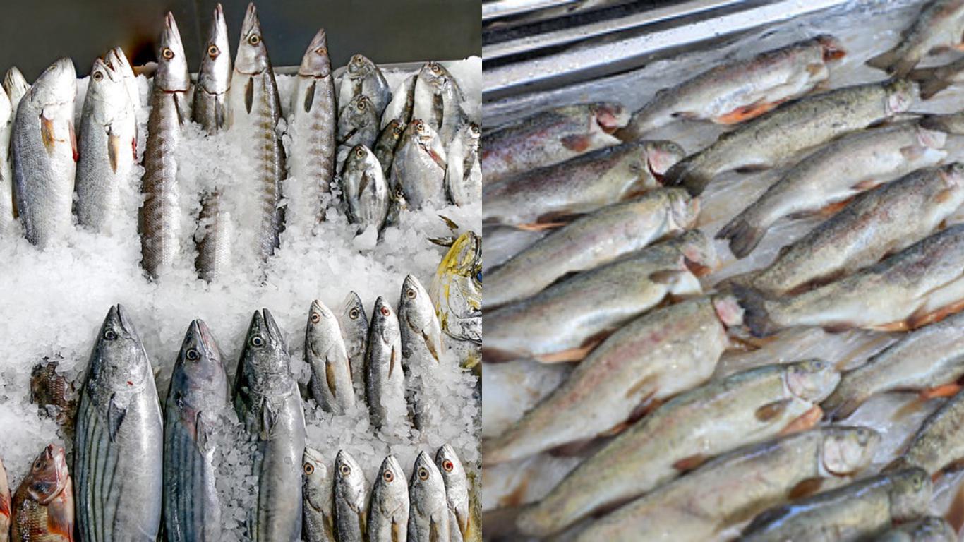 Produce informa que existe abastecimiento de recursos hidrobiológicos en todo el Perú (Foto: difusión)