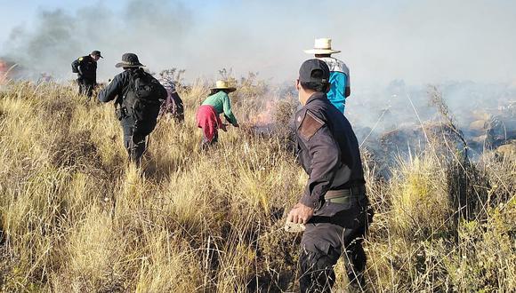 Reportan 62 incendios forestales en provincias de Arequipa