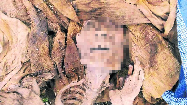 Encuentran a persona momificada en una chacra